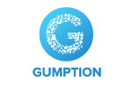 gumption